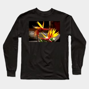 Oiseaux du paradis (Strelitzia Reginae) Fleur du Mexique Long Sleeve T-Shirt